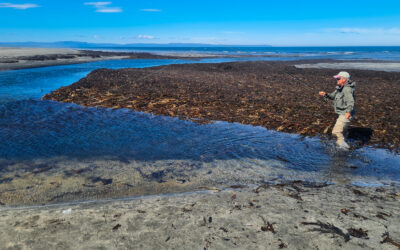 Lónsá á Langanesi