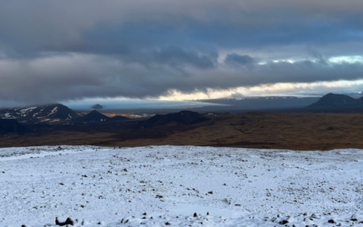 Rock Ptarmigan Hunting
