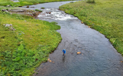 Reykjadalsá í Reykjadal (Urriði og lax)