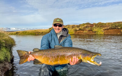 Mýrarkvísl samntekt 2024