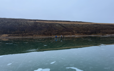 Dorgveiði á Langavatni og Kringluvatni í Reykjahverfi