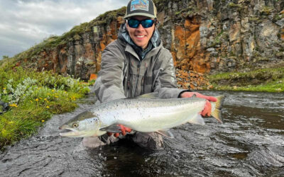 Reykjadalsá samantekt 2024